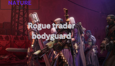 rogue trader bodyguard