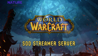 SOD Streamer Server