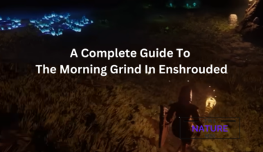 A Complete Guide To The Morning Grind In Enshrouded