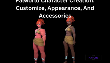 Character Creation Customize, Appearance, And Accessories