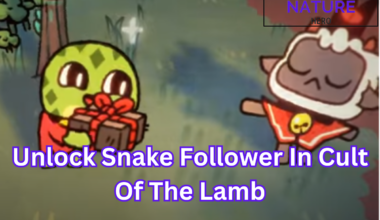 Cult of lamb snake follower