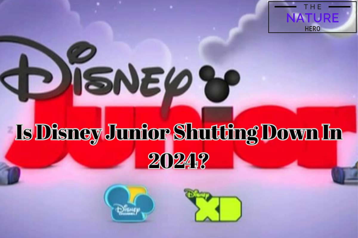 Is Disney Junior Shutting Down In 2024? The Nature Hero