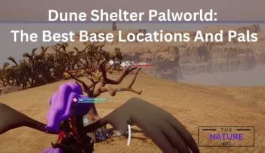 Dune Shelter Palworld The Best Base Locations And Pals