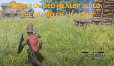 Enshrouded Healer Build The Wand Of Healing