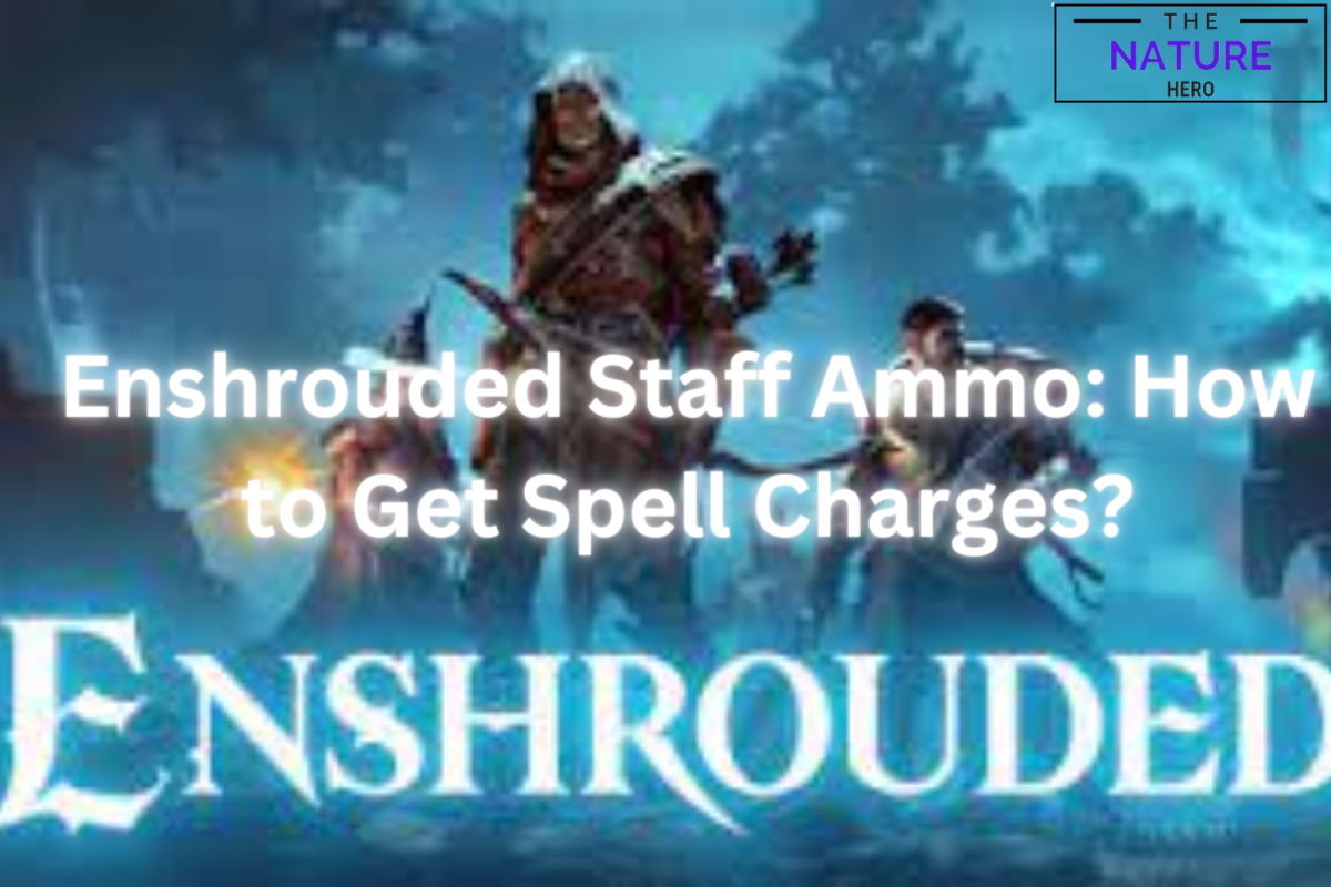 Enshrouded Staff Ammo How To Get Spell Charges? The Nature Hero