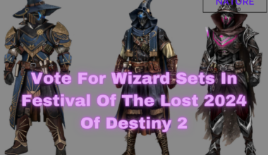 Festival of the lost destiny 2