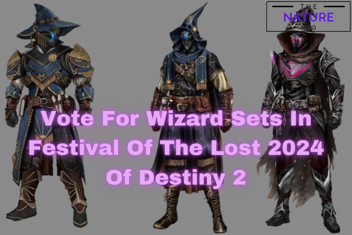 Destiny 2 Festival Of The Lost 2024 Vote For Wizard Sets The Nature Hero