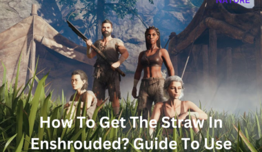 How To Get The Straw In Enshrouded Guide To Use