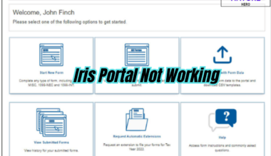 Why Is IRIS Portal Not Working: Causes And Fixes