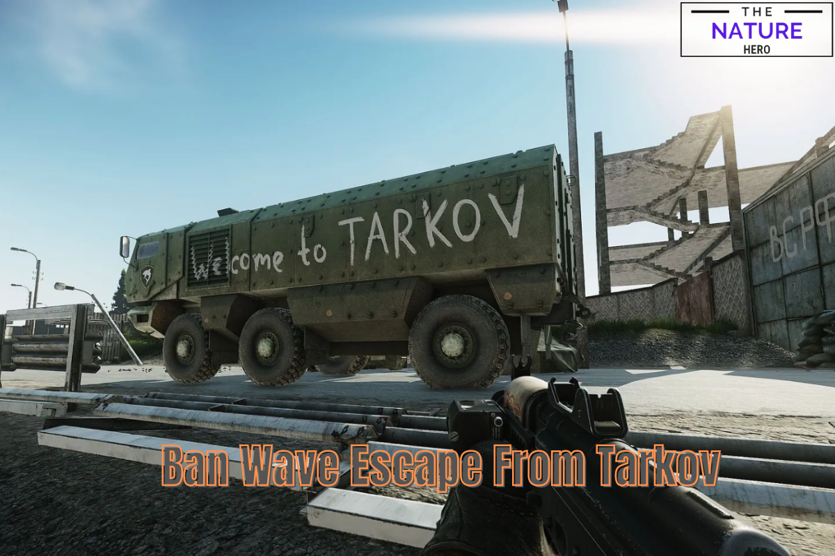 Unwrapping The Ban Wave In Escape From Tarkov The Nature Hero