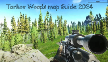 Woods Map 2024 Guide Of Escape From Tarkov