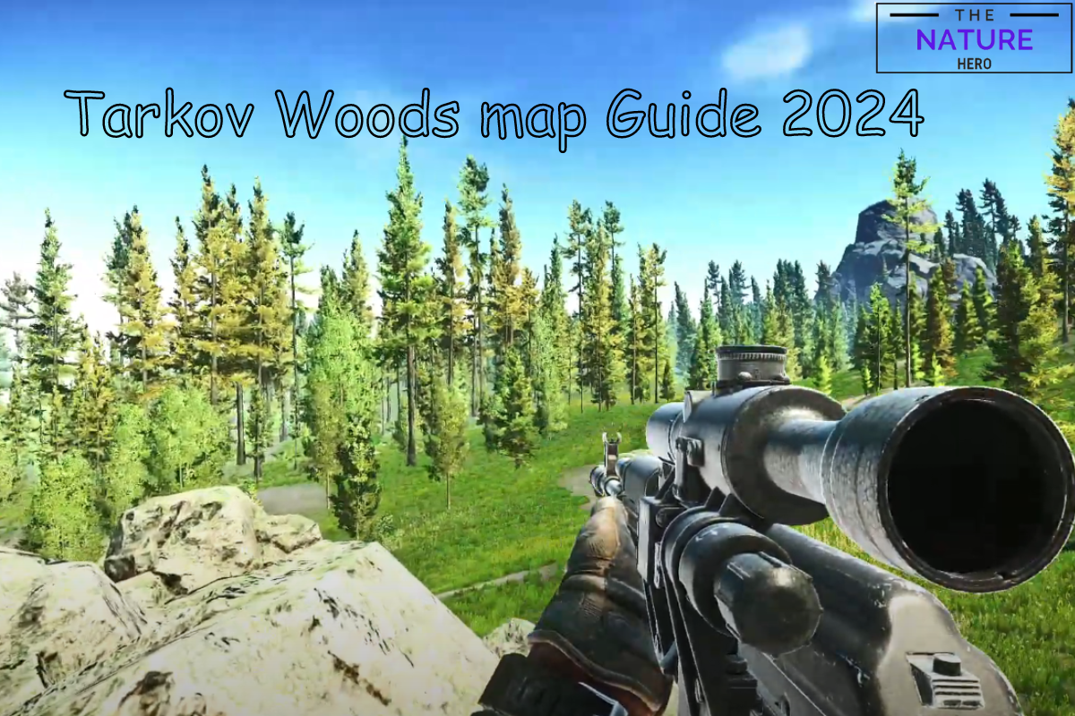 Woods Map 2024 Guide Of Escape From Tarkov The Nature Hero   How To Make A Boat In Lego Fortnite 85 