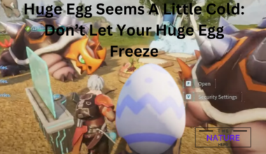 Huge Egg Seems A Little Cold Don’t Let Your Huge Egg Freeze