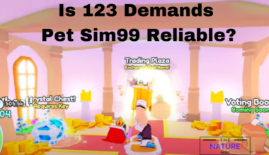 Is 123 Demands Pet Sim 99 Reliable