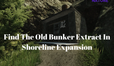 Old bunker shoreline