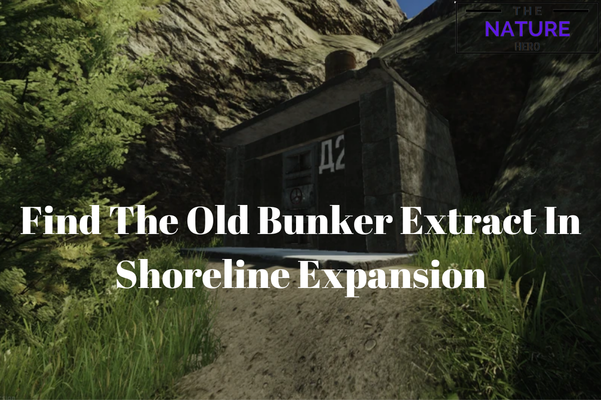 Find The Old Bunker Extract In Shoreline Expansion - The Nature Hero