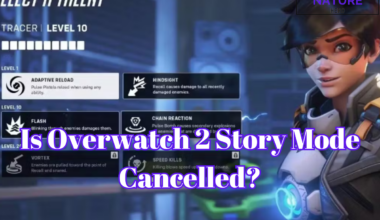 Overwatch 2 Story Mode Cancelled