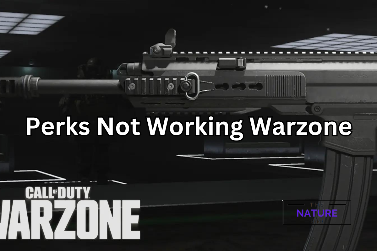 Fixes To Perks Not Working Issue In Warzone Season 1 Reloaded The