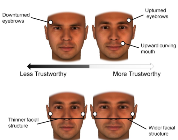 Analyzing Facial Features