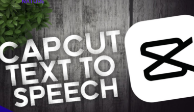 Capcut Text to Speech integration