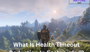 What Is Health Timeout Reduction In Enshrouded