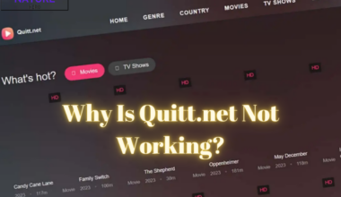 Why Is Quitt.net Not Working