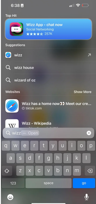 Wizz app removal or not