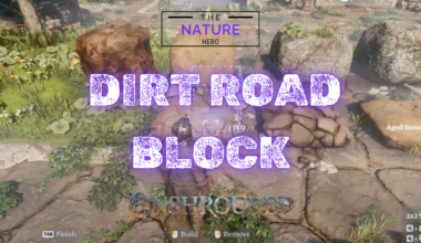 Dirt Road Block