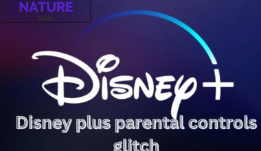 disney plus parental controls glitch