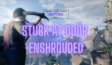 stuck at door enshrouded