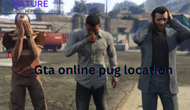 gta online pug location