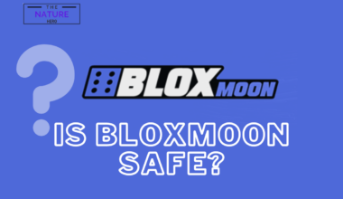 Bloxmoon is not a safe website