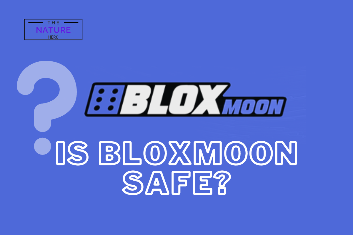 Is Bloxmoon Safe Website Or A Scam? The Nature Hero