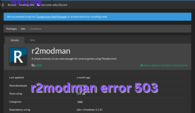 r2modman error 503