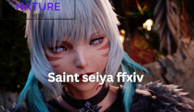 saint seiya ffxiv