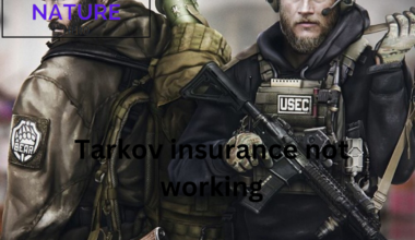 tarkov insurance not working