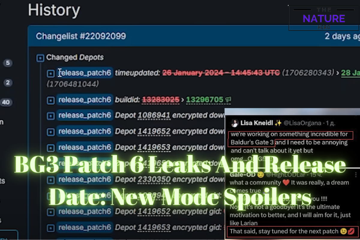 BG3 Patch 6 Leaks And Release Date New Mode Spoilers The Nature Hero   BG3 Patch 6 Leaks And Release Date New Mode Spoilers 