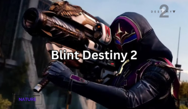 blint destiny 2