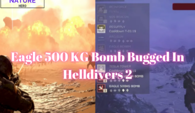 Eagle 500 KG Bomb Bugged In Helldivers 2