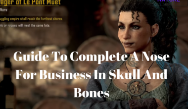 Guide To Complete A Nose For Business In Skull And Bones