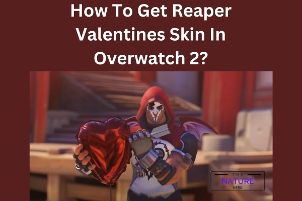 How To Get Reaper Valentines Skin In Overwatch 2? - The Nature Hero