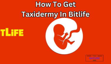 how to taxidermy in bitlife
