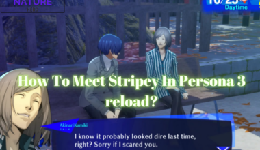 How To Meet Stripey In Persona 3 reload