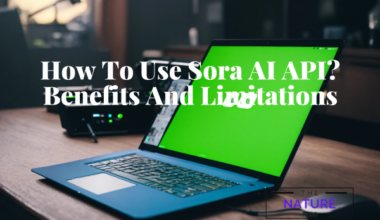 How To Use Sora AI API Benefits And Limitations