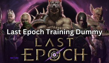 last epoch training dummy