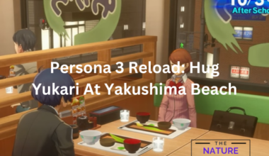 Persona 3 Reload Hug Yukari At Yakushima Beach