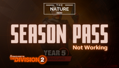The Division 2 Season Not Working: Behin The Error