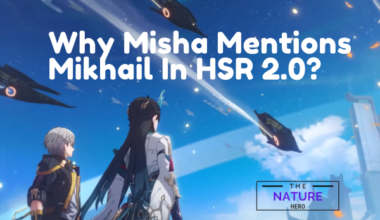 Why Misha Mentions Mikhail In HSR 2.0