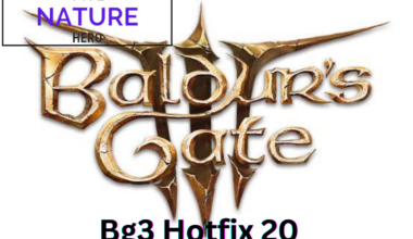 bg3 hotfix 20