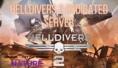 helldivers 2 dedicated server